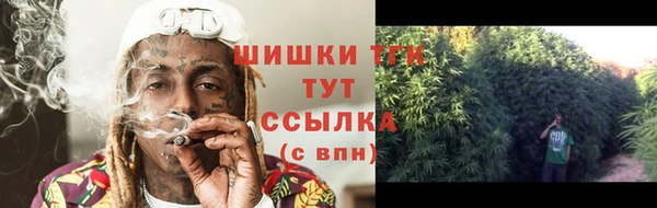 PSILOCYBIN Михайловск