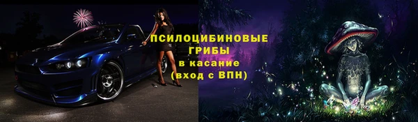 PSILOCYBIN Михайловск